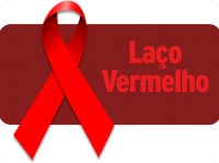 Boletim Laço Vermelho - N°8 - 2021 - Dezembro Vermelho