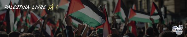palestina 5