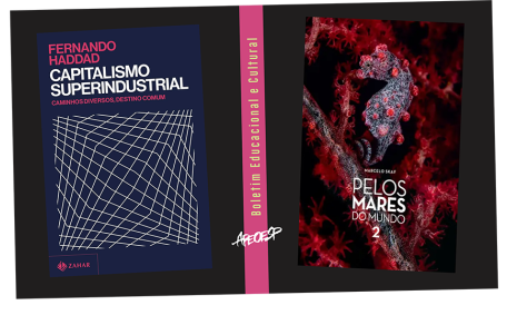 Veja o mais novo Boletim Educacional e Cultural da APEOESP